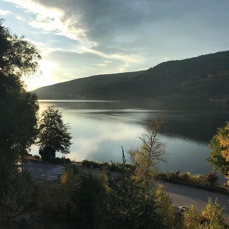 Le Deux Pieces Apartment Gerardmer Ngoại thất bức ảnh